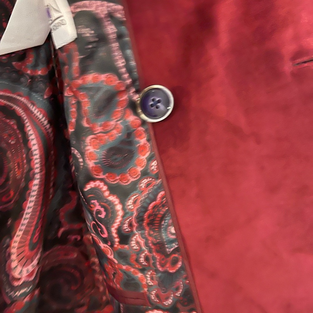 Elegant Double-Breasted Velvet Blazer in Rich Red - Picture 7 of 10